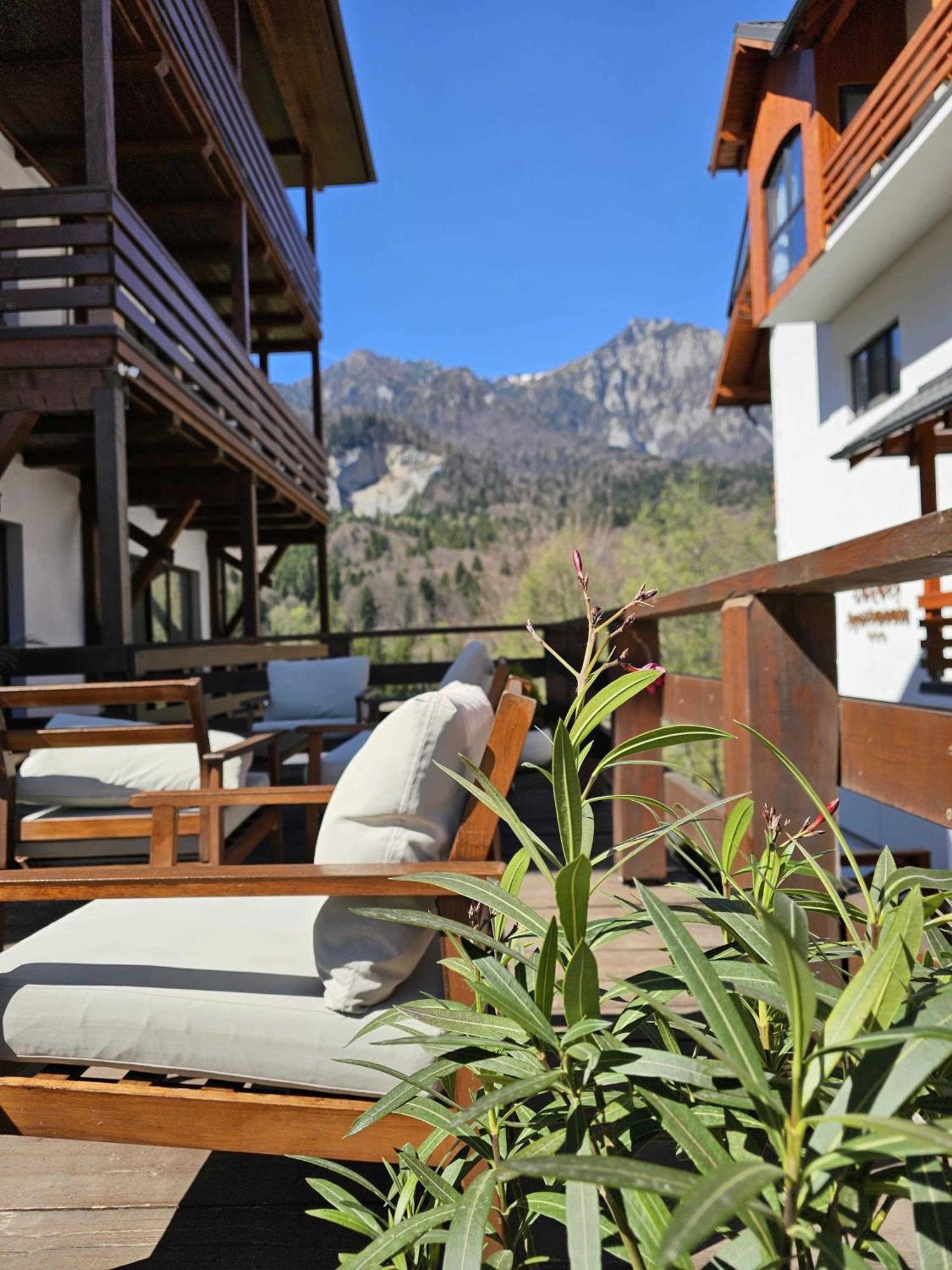 Yael Luxury Apartments 3 Busteni Exterior photo